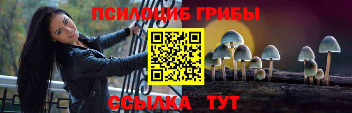 Бугуруслан  Псилоцибиновые грибы мухоморы  Вход с VPN 
